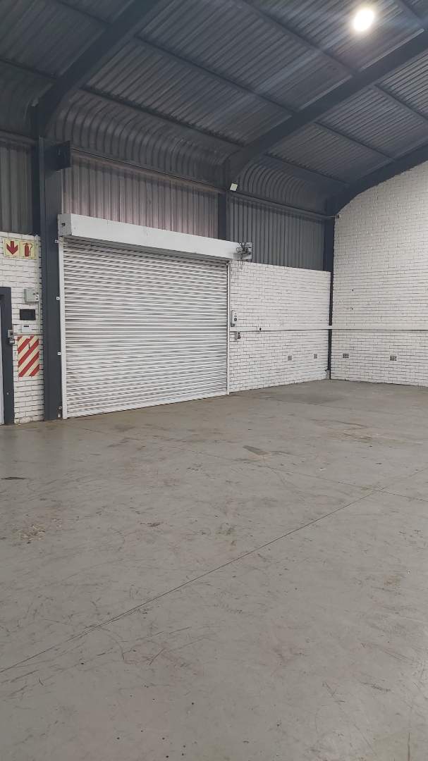 To Let commercial Property for Rent in Newton Park Eastern Cape